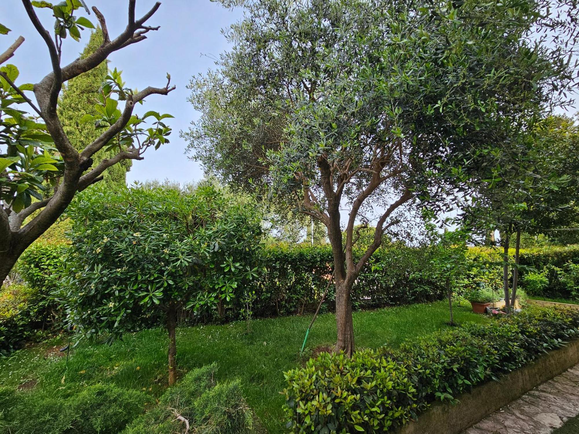 Zita - Heart Of Rovinj, Apartment For 2, Free Parking, 2Min Center, 5Min Beach Walk Exterior foto